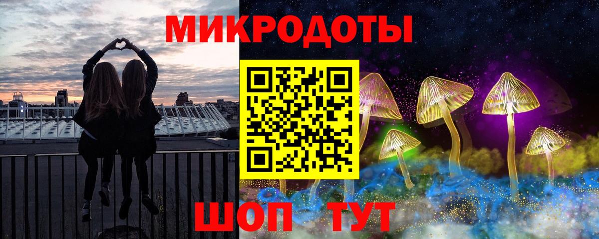 Псилоцибиновые грибы Cubensis Славгород