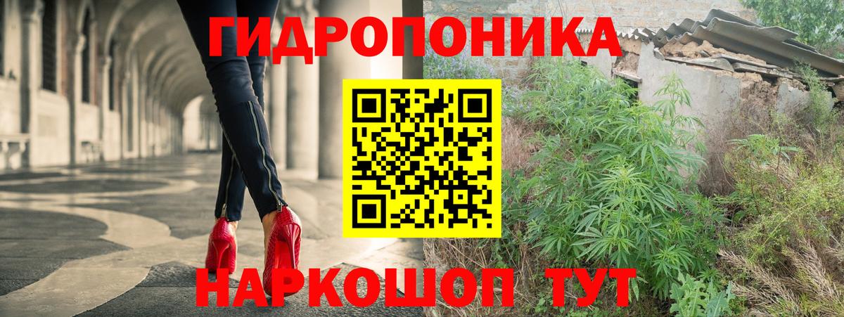 Канабис OG Kush  Вход с VPN  Бошки Шишки Amnesia  Конопля Bruce Banner  Славгород  Конопля VHQ 